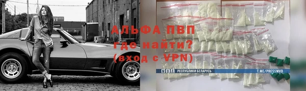 сатива Армянск