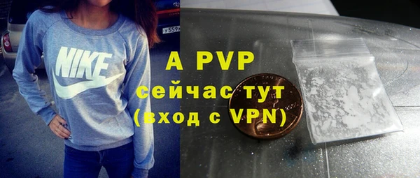 apvp Арсеньев