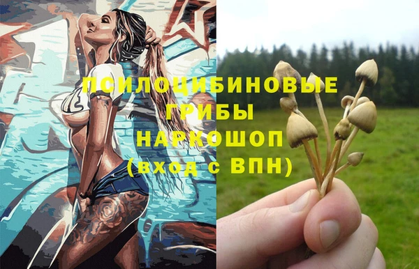 apvp Арсеньев